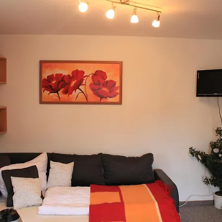 Appartement Harzer Roller 1+2 à Braunlage Chambre photo